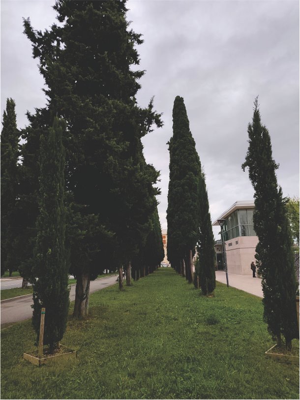 ITALIA40