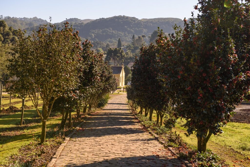 caminhos de pedra - cantina strapazzon (1)