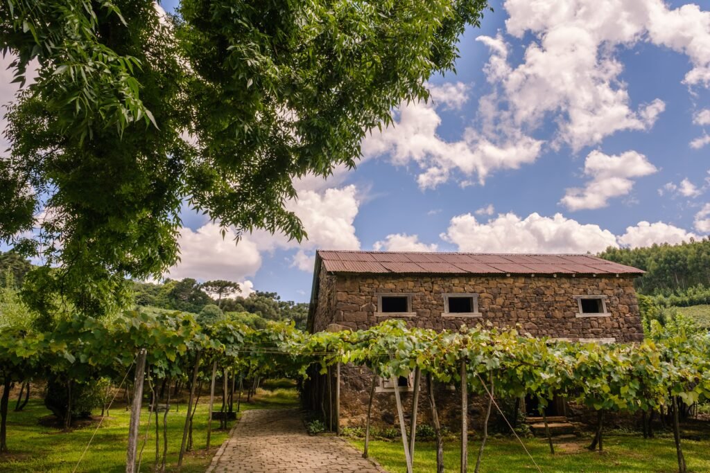 caminhos de pedra - cantina strapazzon (3)