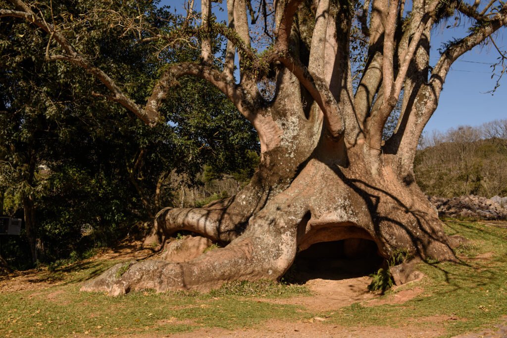 caminhos de pedra - casa bertarello